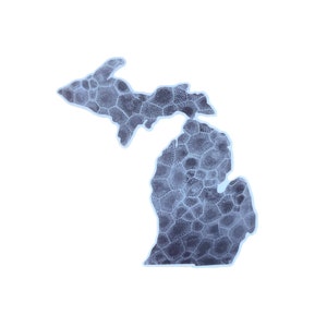 Michigan Gray Petoskey Stone- Printed Decal Sticker
