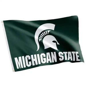Michigan- Michigan State University Flag