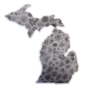 Michigan Gray Petoskey Stone - Tryckt dekalklistermärke