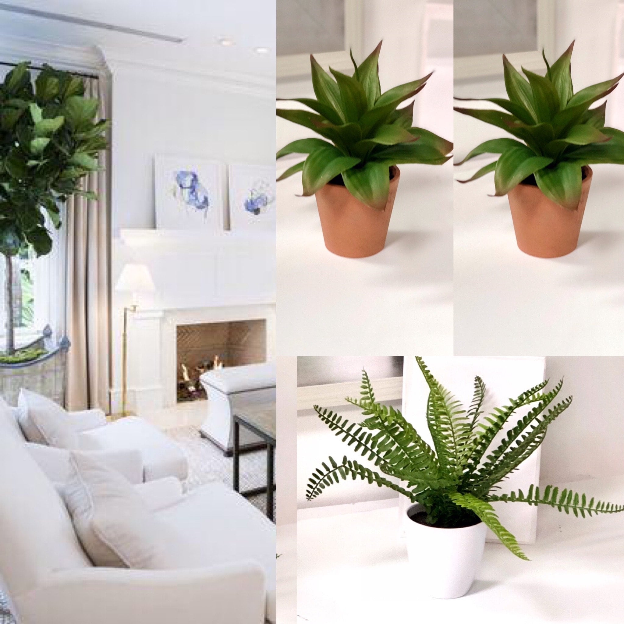 Fern in white pot Artificial Potted Plants,Fern plant, Aloe plant