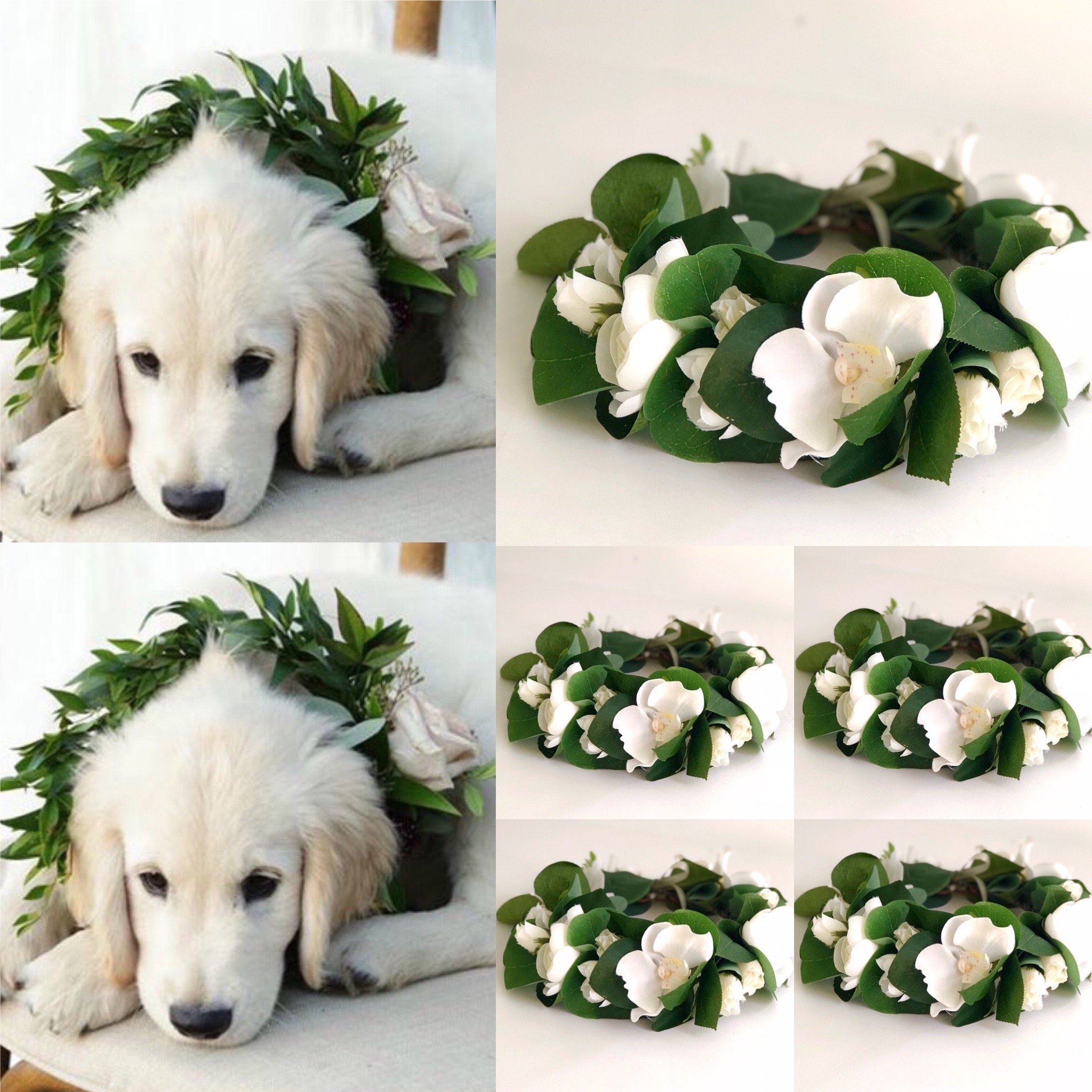 golden retriever wedding outfit