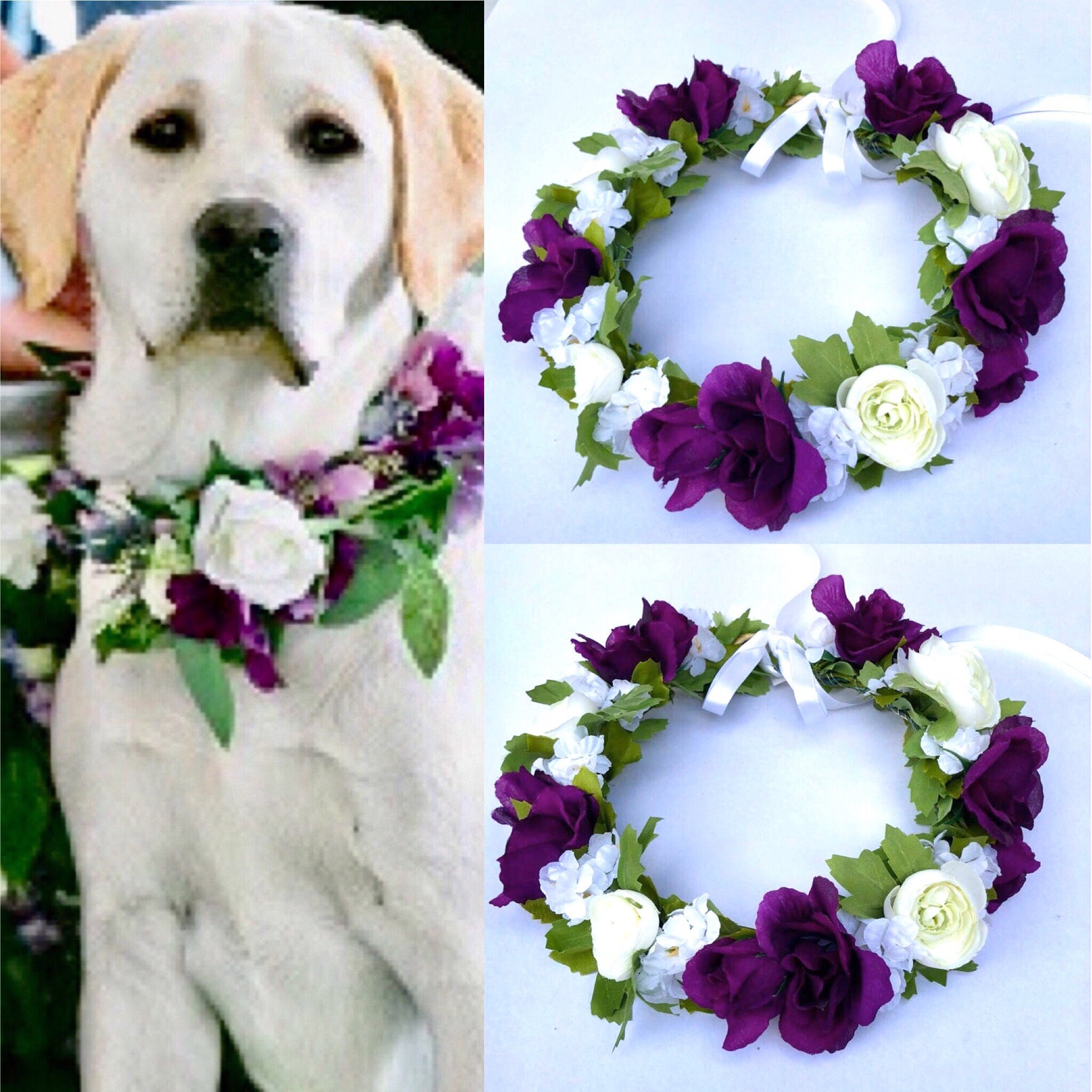 dog as flower girl in wedding