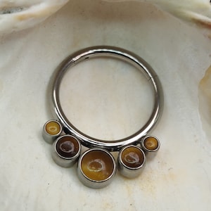 Graduating Semi-Precious Stone Cluster Tiger's Eye Titanium Hinged Segment Clicker Ring - UK Seller - Ear, Daith, Septum, Nose etc Piercings