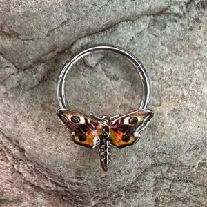 Falena arancione / Anello con cerniera in acciaio chirurgico / Anello per piercing all&#39;orecchio con setto nasale, daith e elica / 16 g 1,2 mm / Venditore nel Regno Unito / Regalo gotico di Halloween