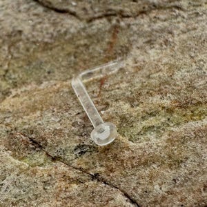 May include: Clear plastic nose ring with a small, round, flat end. The ring is bent at a 90-degree angle.
