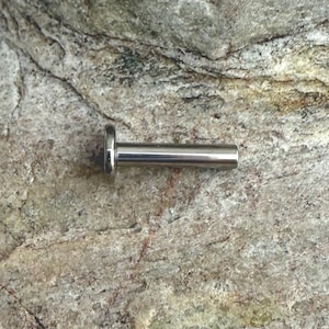 May include: A silver-colored, straight labret stud with a flat disc end and a cylindrical post. The jewelry is shown against a textured, light-colored stone surface. This body jewelry is designed for lip or ear piercings.