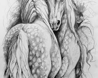 Drawing of an two dappled horses