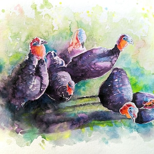 Watercolour painting of a group of turkeys in the sun seen from above