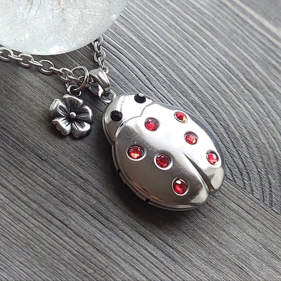 Lady Bug Urn Necklace Ladybug Beetle Locket for Ashes Hair Fur Dried Flowers Cremation Jewelry Sympathy Gifts for Girls Etsy