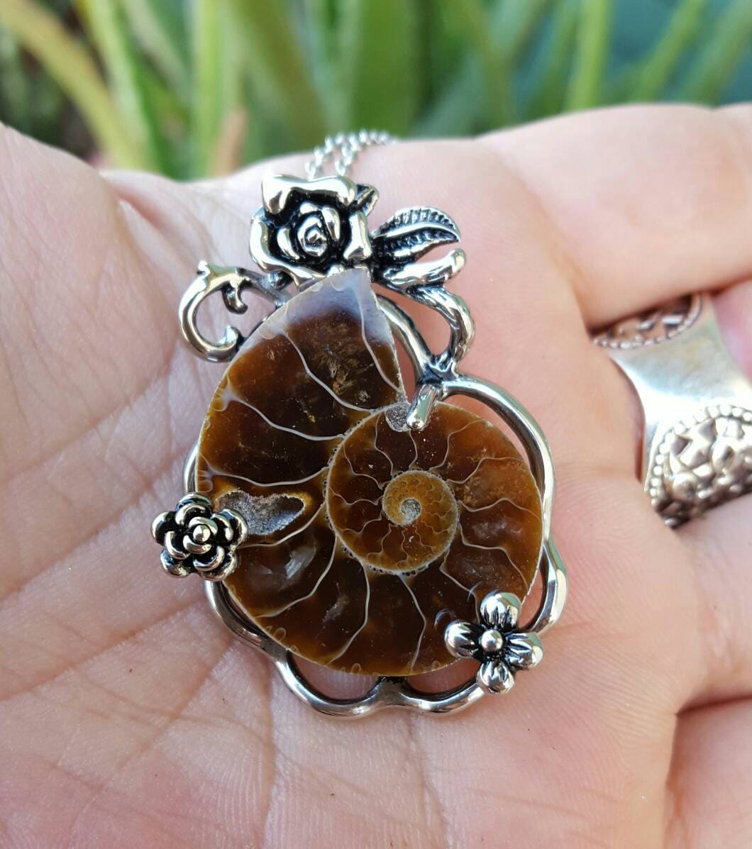 Stainless Steel & Ammonite Pendant Ammomite Necklace Ammonite