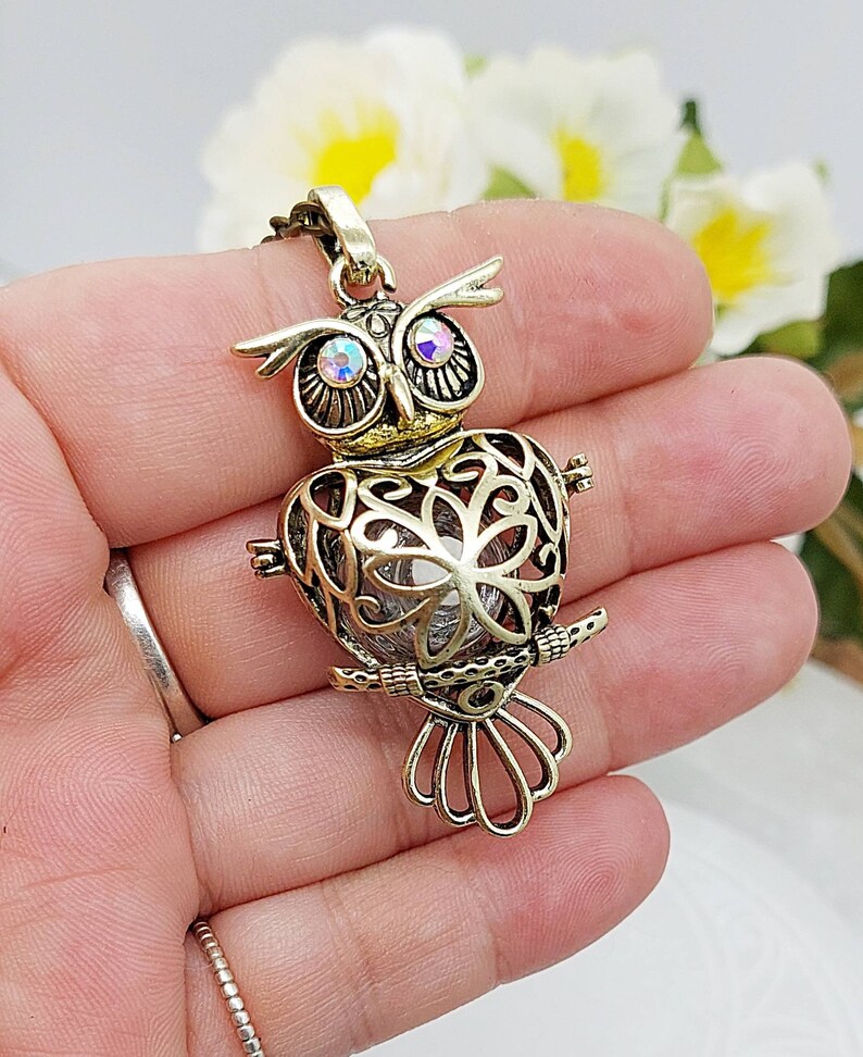 Keepsake Jewelry Locket Bronze Owl Urn Locket With Glass for Etsy