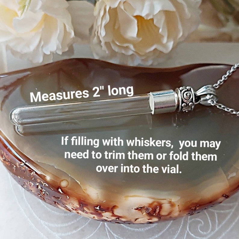 May include: A silver chain necklace with a clear glass vial pendant that measures 2 inches long. The vial is attached to the chain with a silver cap and a decorative silver charm. The text "Measures 2" long" is visible in the image. The text "If filling with whiskers, you may need to trim them or fold them over into the vial." is also visible in the image.