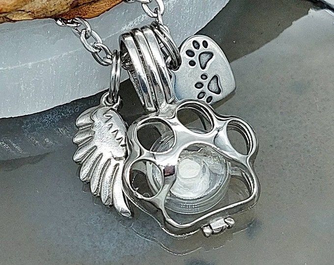 memorial lockets for pet ashes