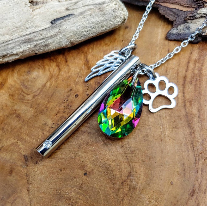 Rainbow Bridge Pet Memorial Jewelry Teardrop Pet Hair Etsy