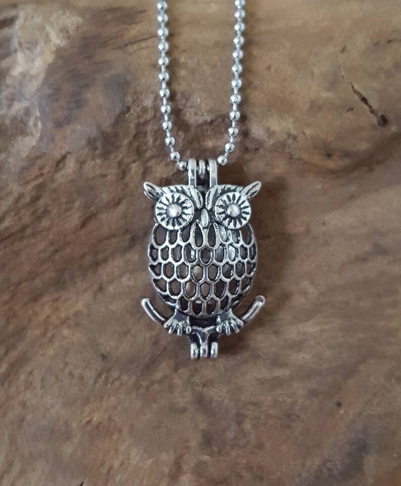 New Owl Crystal Cremation Urn Keepsake Ashes Silver Memorial Necklace New Owl Crystal Cremation Urn Keepsake Ashes Silver Memorial Necklace