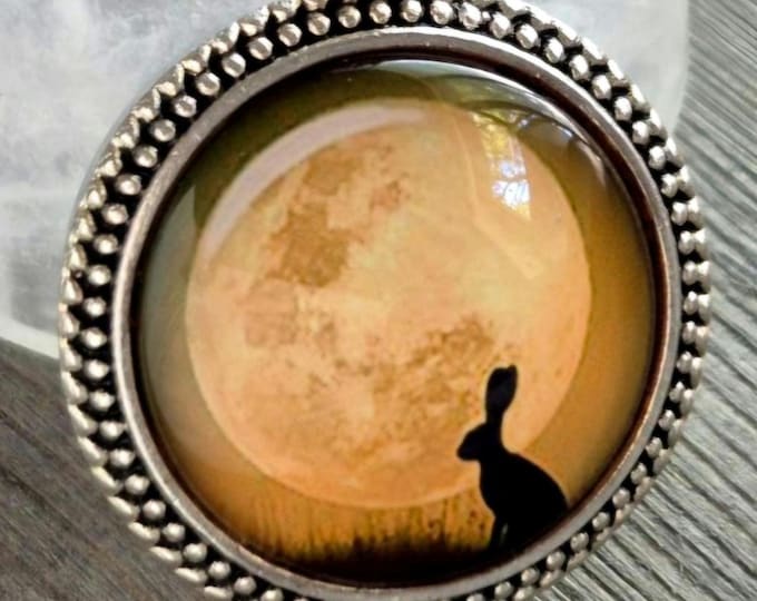 Moon Bunny Memorial Locket: Fur, Hair or Ashes Keepsake Urn Necklace | Cremation Ash Jewelry, Memorial Pendants