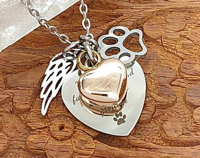 Pet Ashes Memorial Jewelry | Dog Urn, Cat Urn Necklace | Pet Cremation Jewelry | Small Pet Keepsake Pendant | Paw Print Urn | Pet Loss Gift