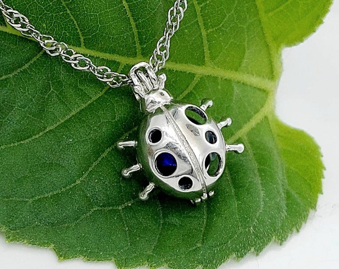 Sterling Silver Ladybug Locket Urn Necklace for Ashes | Mini Lady Bug Beetle Urn Pendant | Memorial Gift for Women | Cremation Ashes Jewelry