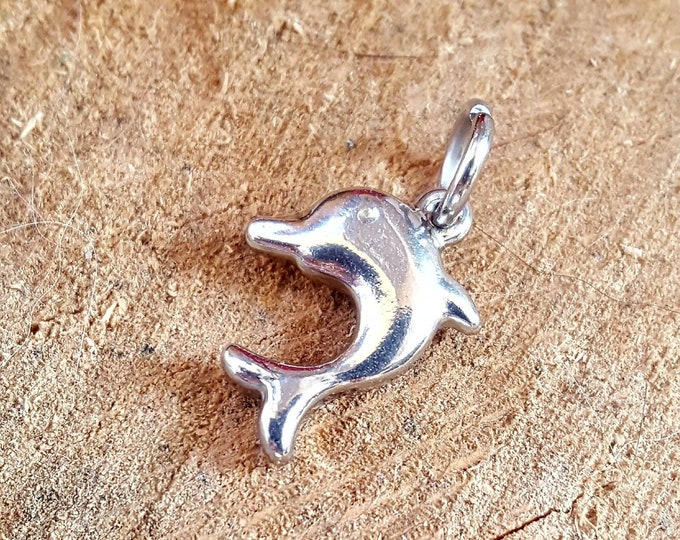 Stainless Steel Dolphin Charm