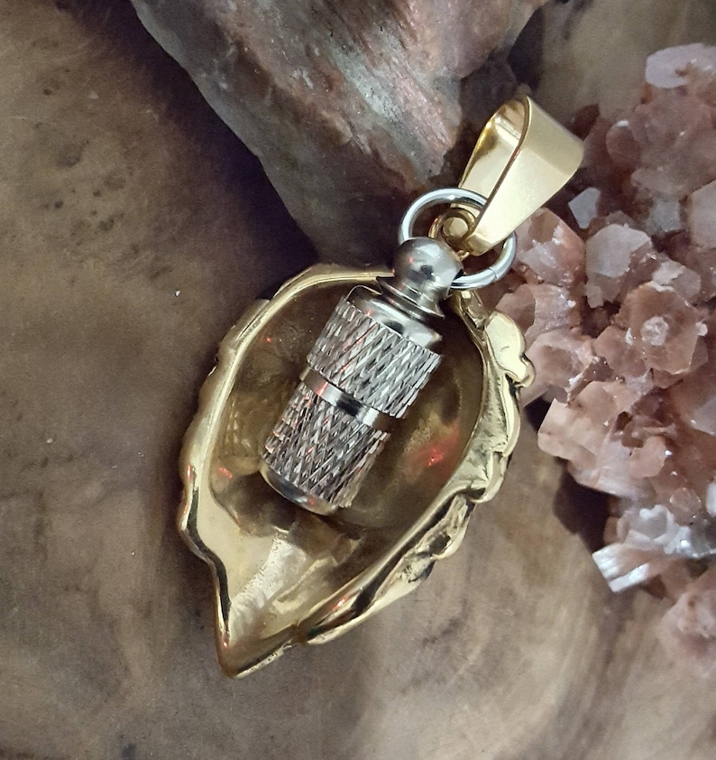 Stainless Steel Lion Urn Pendant Cremation Jewelry for Men