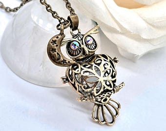 Bronze Owl Urn Locket | Cremation Ashes Jewelry with Fill Kit, Ashes Keepsake, Memorial, Remembrance Gifts