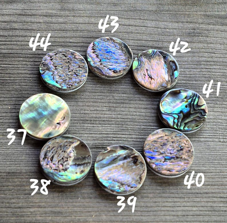 May include: Eight circular abalone shell cabochons arranged in a circle, each featuring unique iridescent patterns of blue, green, and purple. The pieces are labeled with white handwritten numbers 37, 38, 39, 40, 41, 42, 43, and 44.