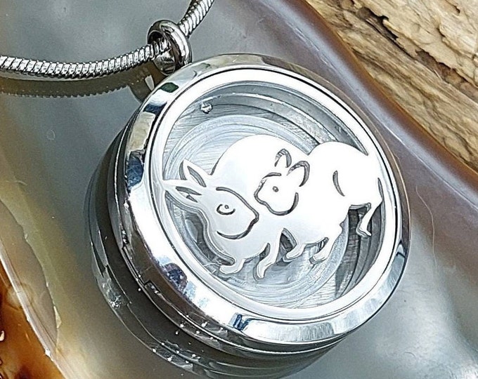 Bunny Rabbits Keepsake Locket for Ashes, Hair, or Fur | Cremation Locket Urn Necklace | Cremation Jewelry | Pet Memorial Jewellery Gift