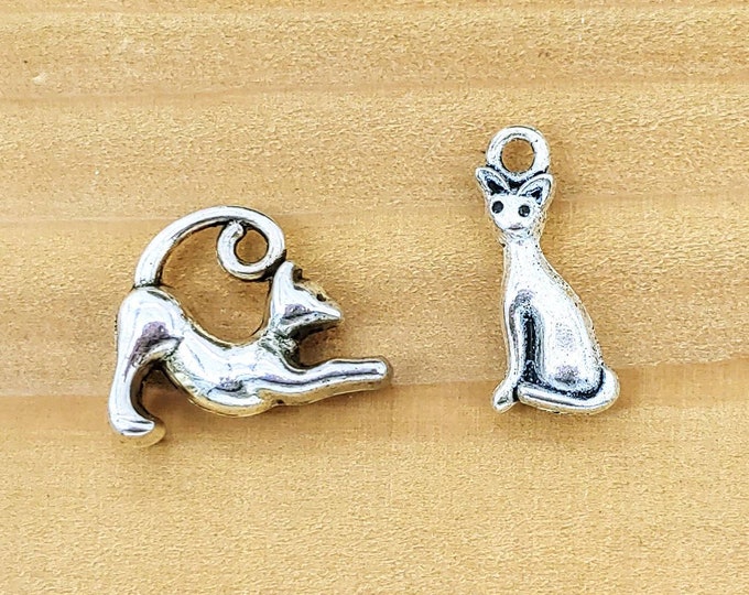 Kitty Cat Charm