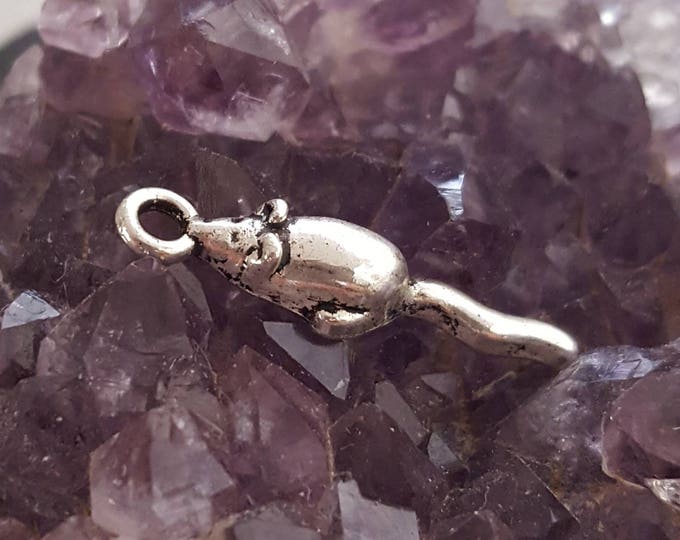 Mouse Charm | Rat Charm