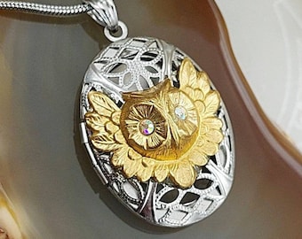 Owl Locket Urn Necklace | Owl Urn Jewelry for Human Ashes, Pet Ash, Lock of Hair | Cremation, Keepsake, Memorial, Remembrance, Sympathy Gift