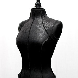 fetish goth clear wing top , steampunk bustier , apocalyptic