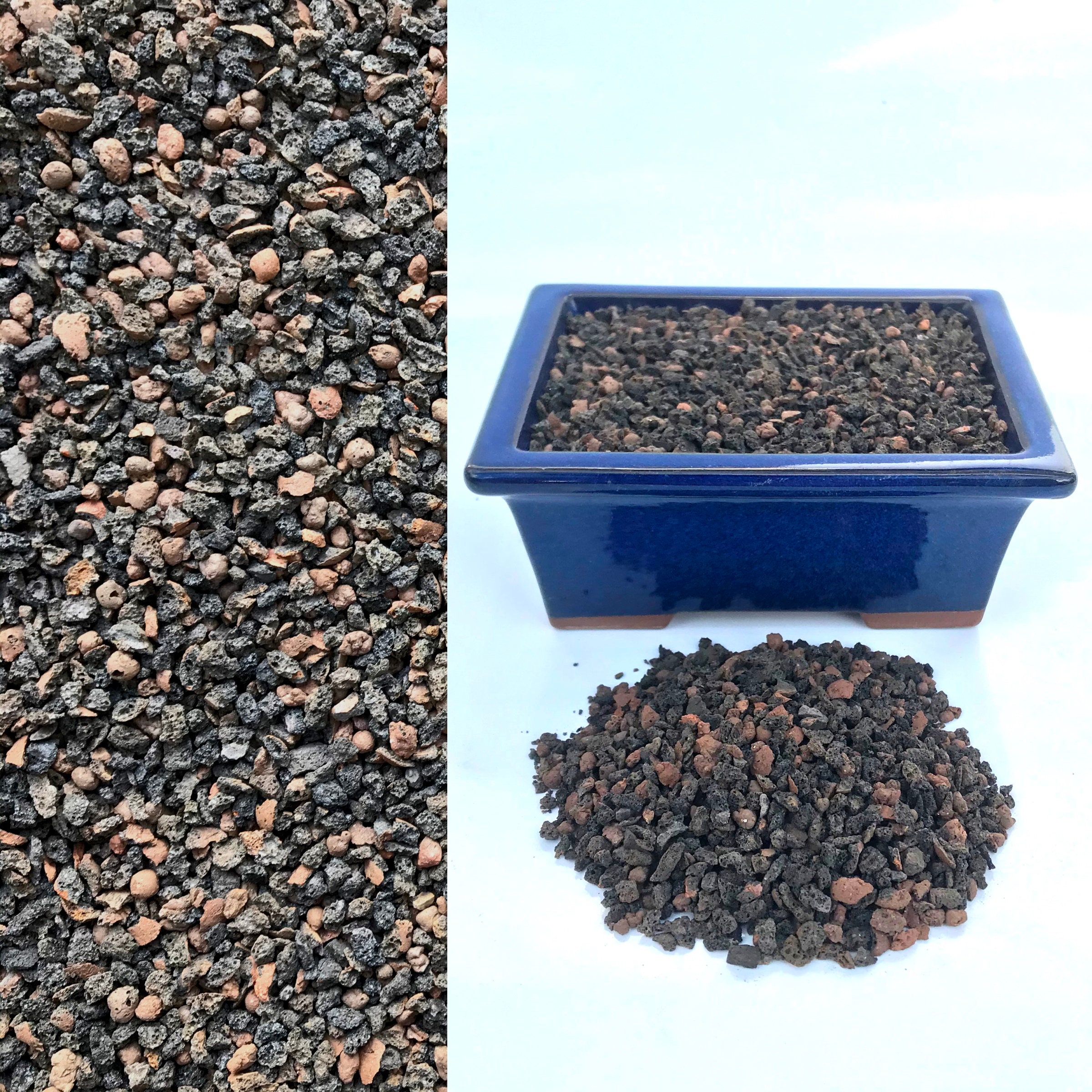24mm Lecalava Bonsai Succulent & Cactus Soil Compost and Etsy UK