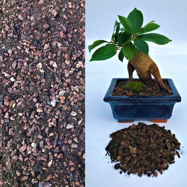 Premium Organic Lava Rock Bonsai Tree Potting Soil Mix Etsy UK