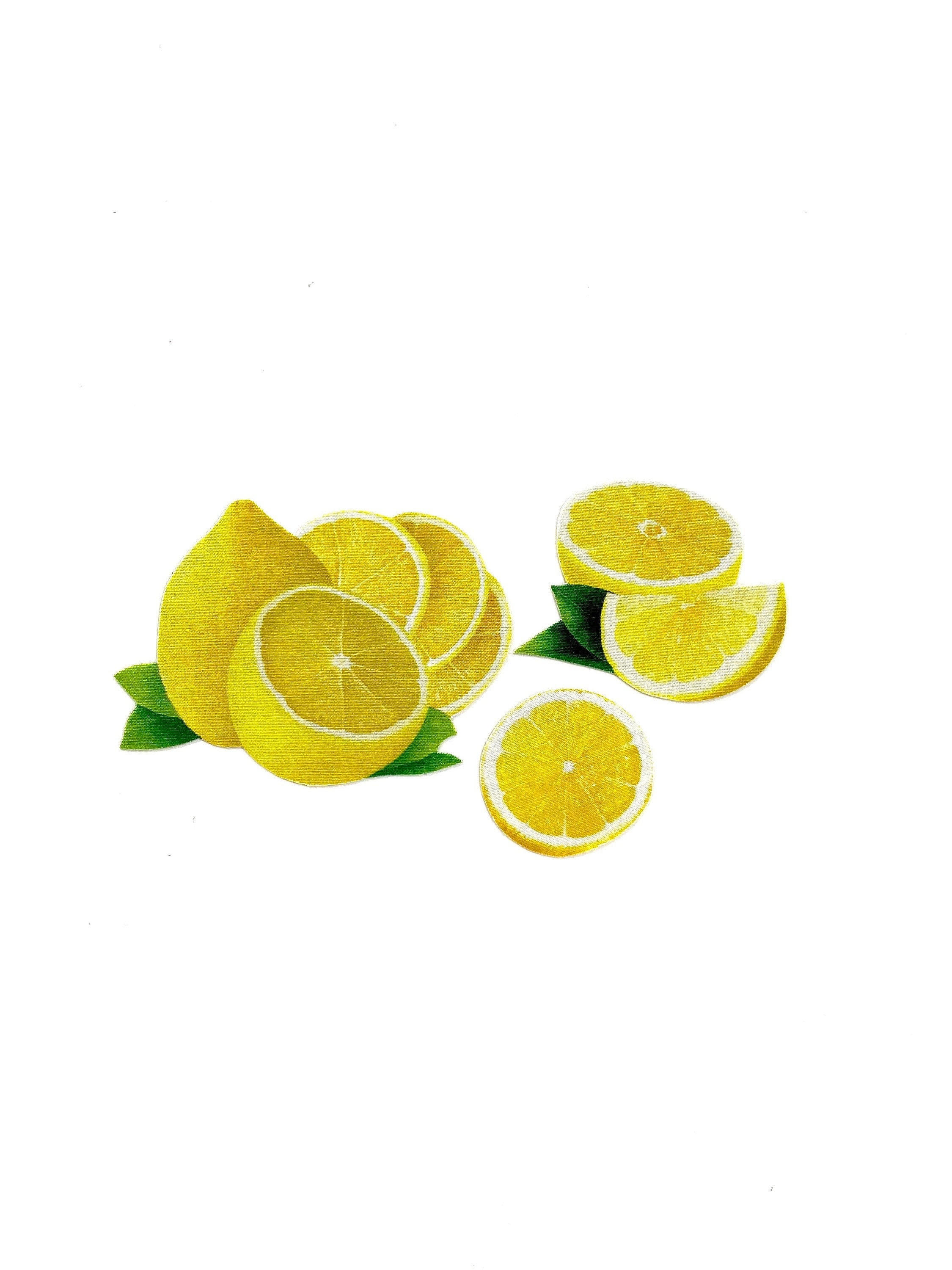 LEMON MAGNETS, (Set of 3), Lemons, Lemon Decor, Kitchen Magnets, Lemo…