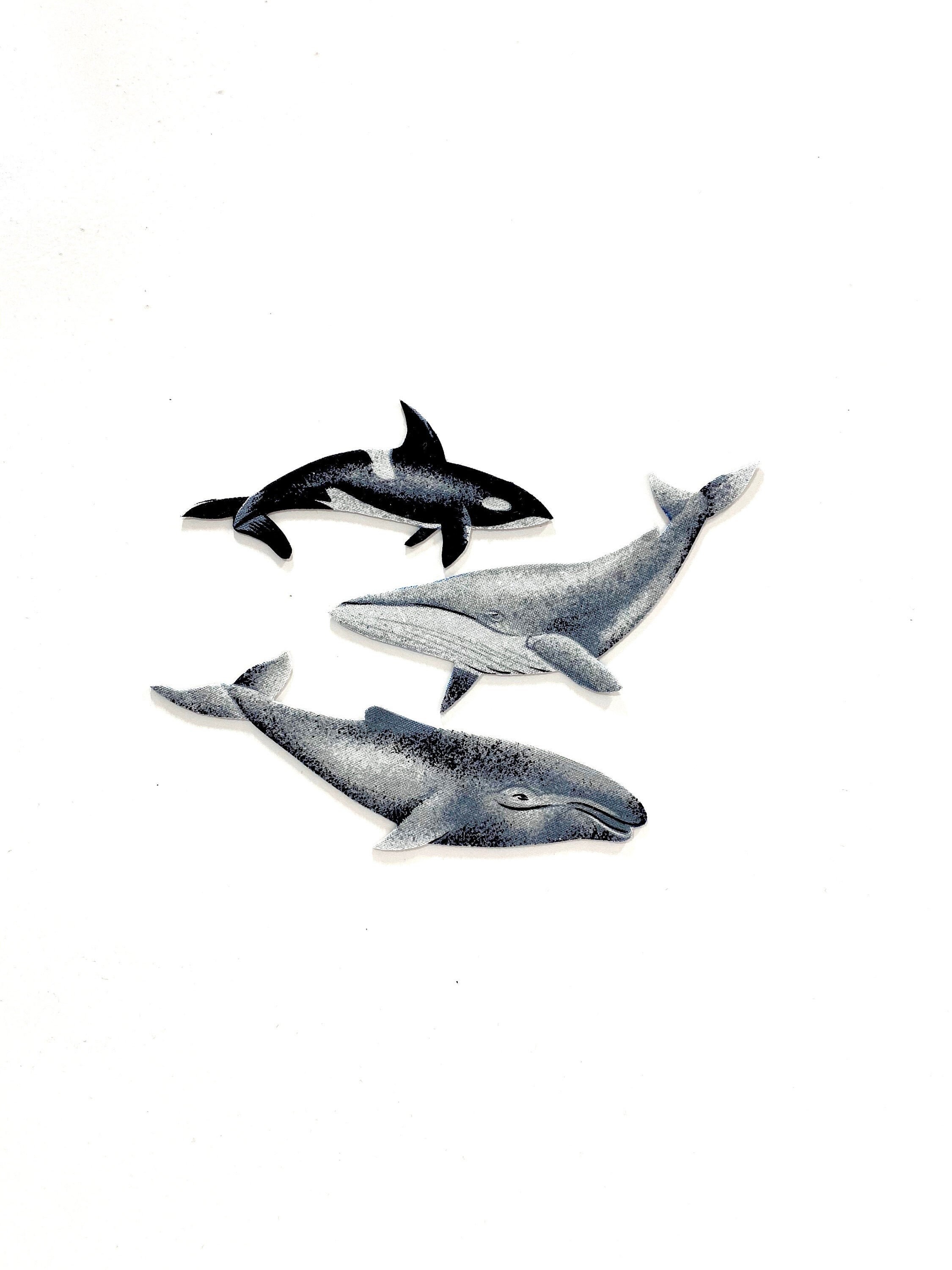 Orca Magnet - Etsy