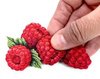 4x5.5 Photo Magnet Raspberries