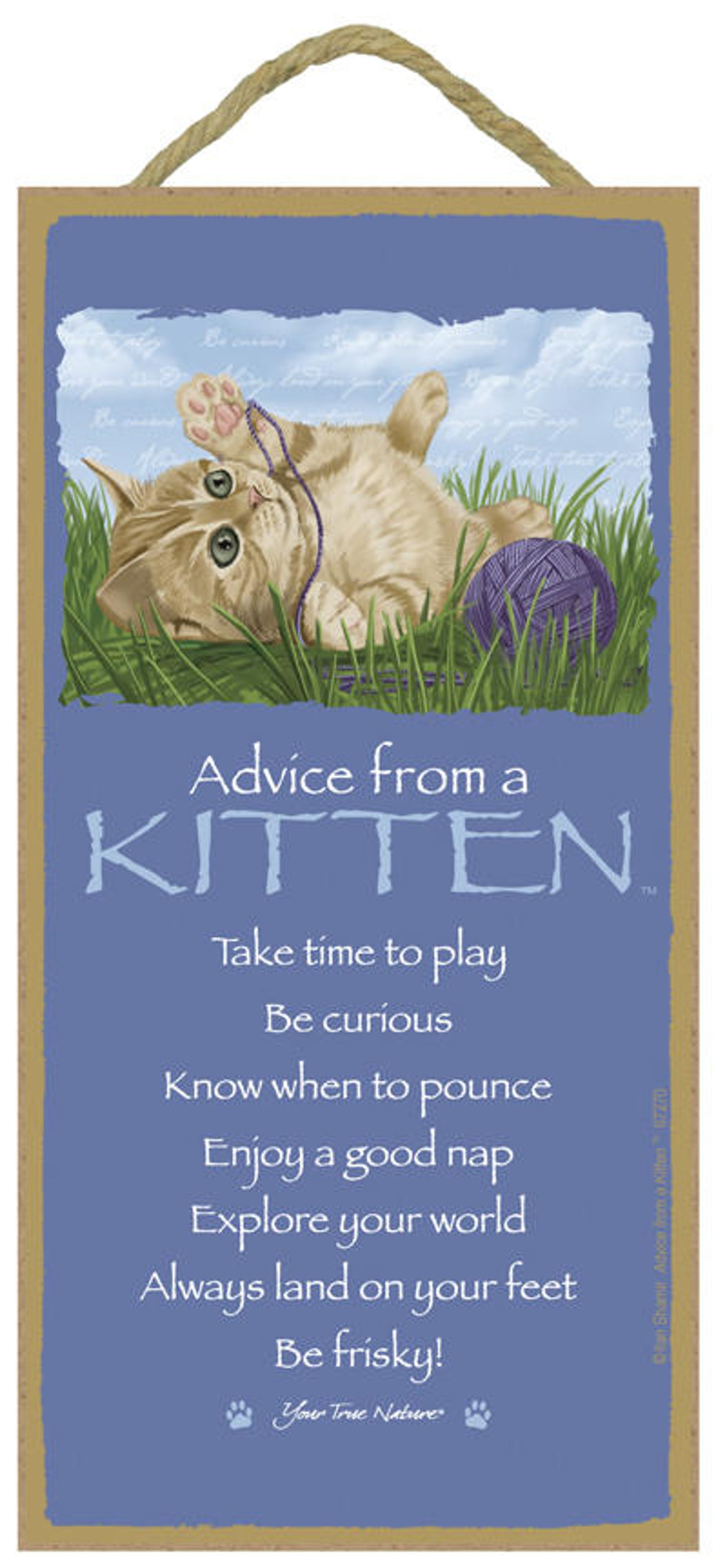 Kitten Advice From A 10 X 5 Advice Sign Wood Etsy