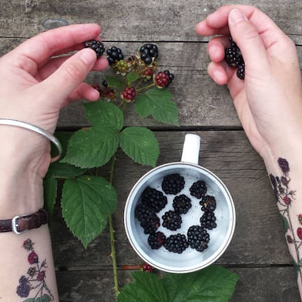 Tree / Woodland themed Temporary Tattoos by Alice Draws The Line;adorn yourself in illustration; blackberries, Rowan, Hawthorn, Elder & Elm