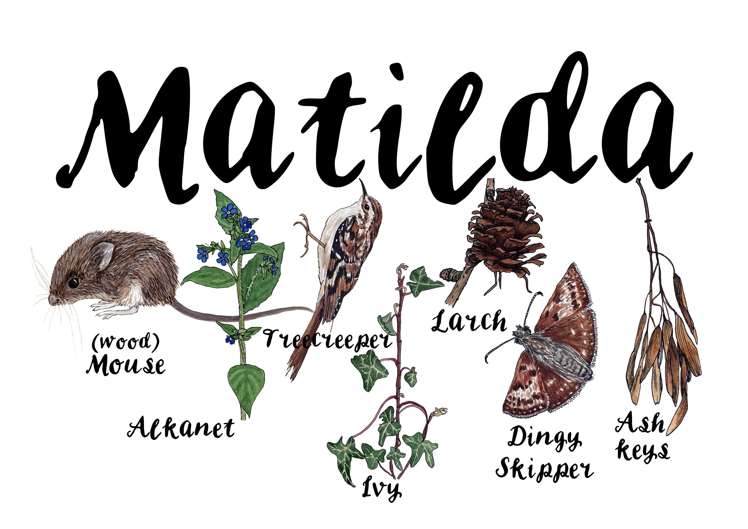 Personalised woodland name print A4 by Alice Draws The Etsy