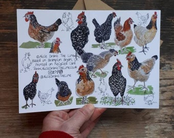 Chickens galore! Illustrated greeting card by Alice Draws the Line, covered in chicken sketches. blank inside, Easter chicken card