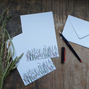 Summer Grasses A5 letter paper by Alice Draws The Line, recycled paper & envelope. Featuring illustrations of meadow grasses as a footer