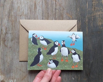 Puffin Greeting Card featuring illustrations by Alice Draws The Line featuring a range of Puffins on a cliff top