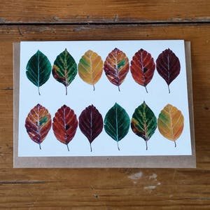 Beech leaves card by Alice Draws The Line featuring the many colours of the beech leaf- blank inside; suitable for any occasion