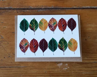 Beech leaves card by Alice Draws The Line featuring the many colours of the beech leaf- blank inside; suitable for any occasion