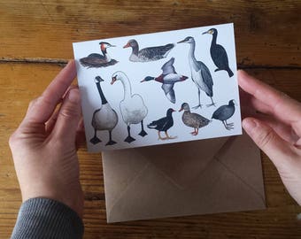 On the Pond - Ducks and Friends Greeting Card by Alice Draws The Line featuring a range of feathered friends that you might find on a pond