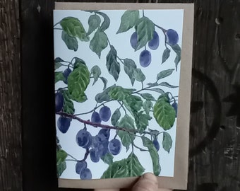 Damson card by Alice Draws The Line, recycled card & blank inside. Botanical illustration of Damsons on the tree in pen and watercolour