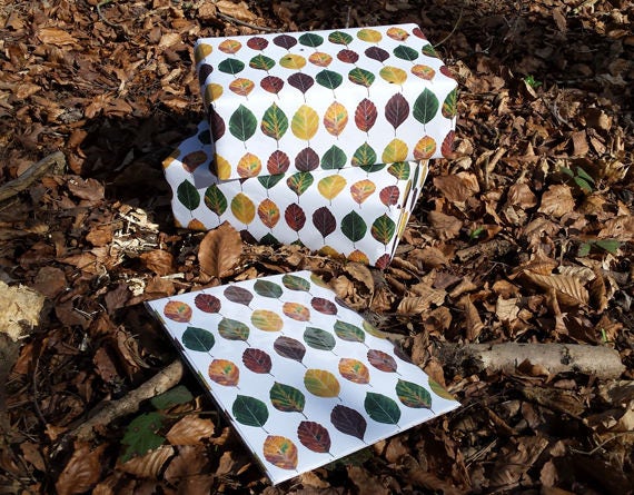 Beech Leaf Wrapping paper by Alice Draws The Line; Recycled 100gsm paper with a repeated pattern of leaves going from green through to brown