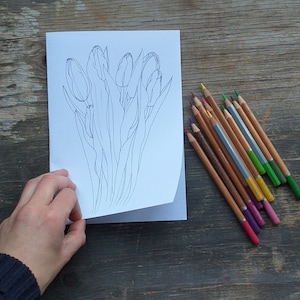 Kleur in Tulip kaart van Alice Draws the Line -print op A4 kaart, vouw in tweeën en kleur in. Perfect voor Pasen, volwassenen of kinderen