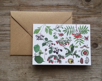 Tree-mendous autumn Greeting Card by Alice Draws The Line featuring a range of woodland finds, all identified with hand lettered labels