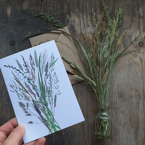 Summer Grasses greeting card by Alice Draws The Line, recycled card & blank inside. Featuring illustrations of meadow grasses in the UK